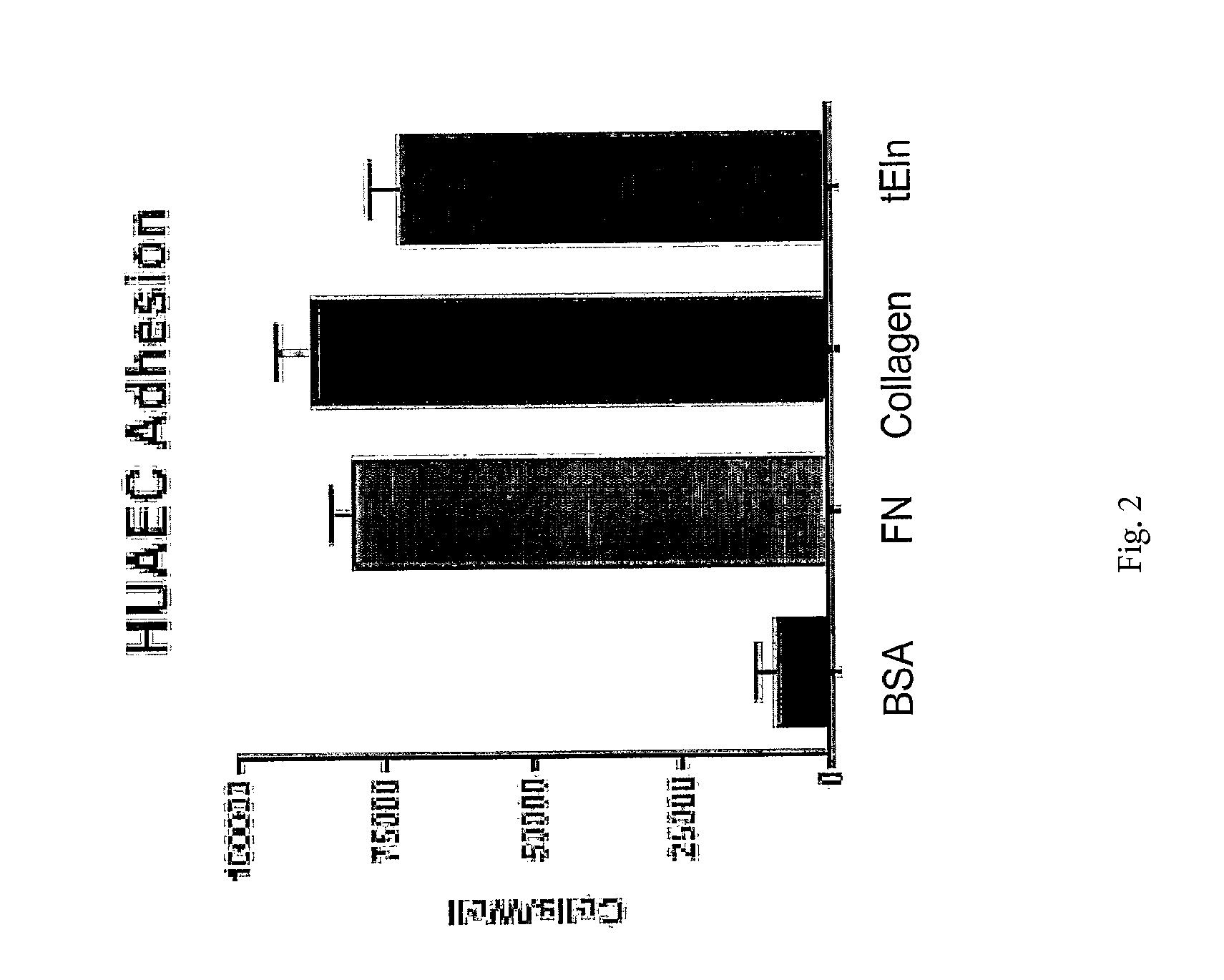 Tropoelastin for Promoting Endothelial Cell Adhesion or Migration