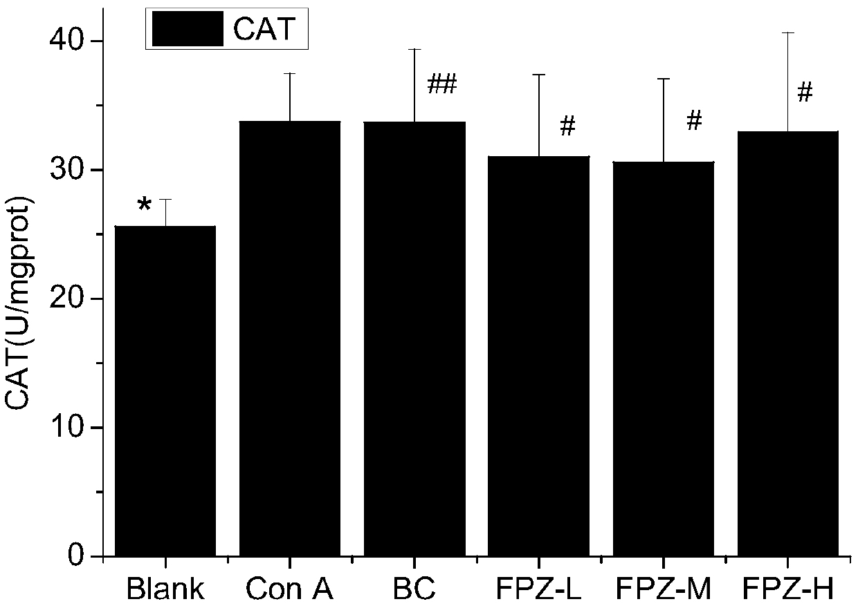 Raspberry extract and preparation method and application thereof