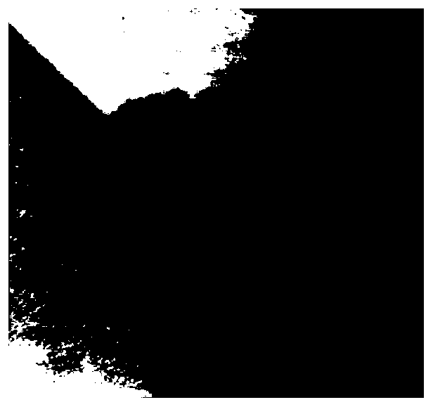 Battery anode material and lithium-sulfur battery