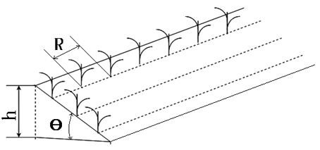 Paddy ladder type cultivation method