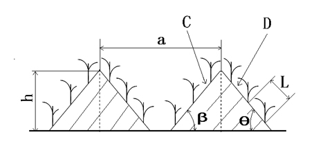 Paddy ladder type cultivation method