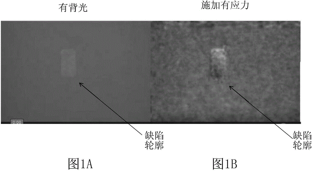 Non-Destructive Evaluation of Structures Using Motion Magnification Technology