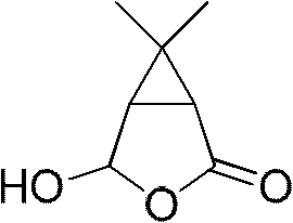 New synthetic method of carane aldehyde acid lactone, caronic acid, caronic anhydride and key intermediates thereof