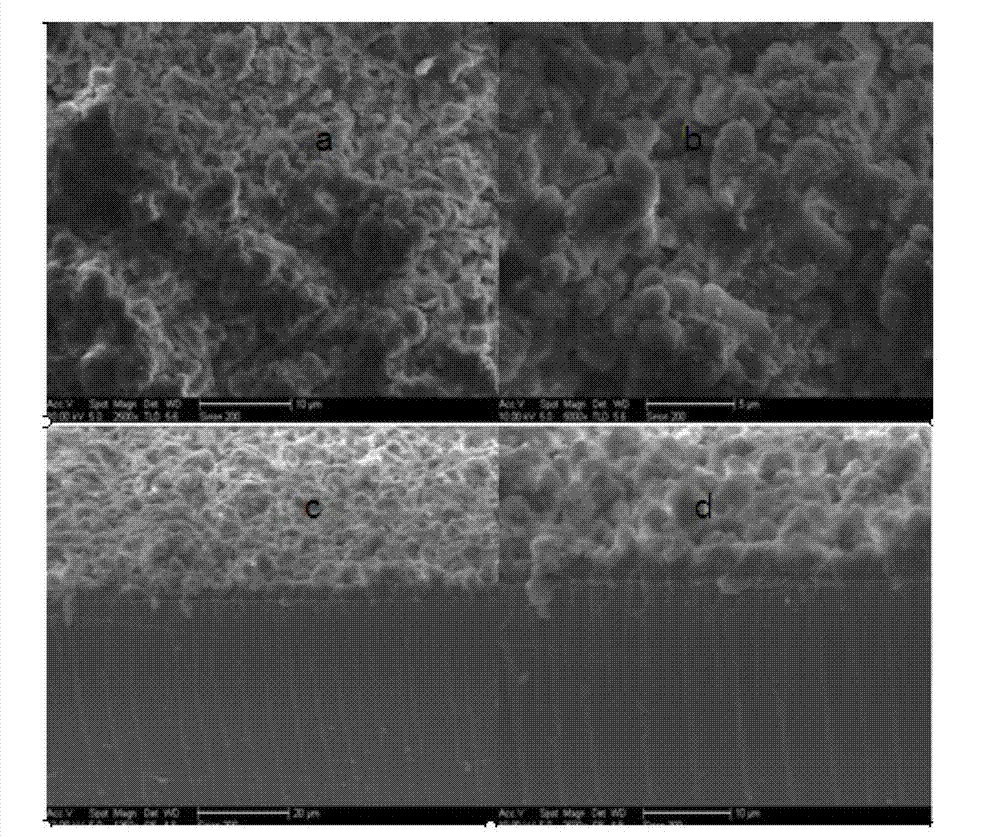 Preparation method of dumbbell-shaped molecular imprinting stirring rod