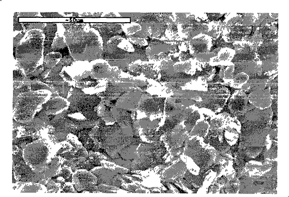 Graphitic cladding method by nano-scale mesophase asphalt