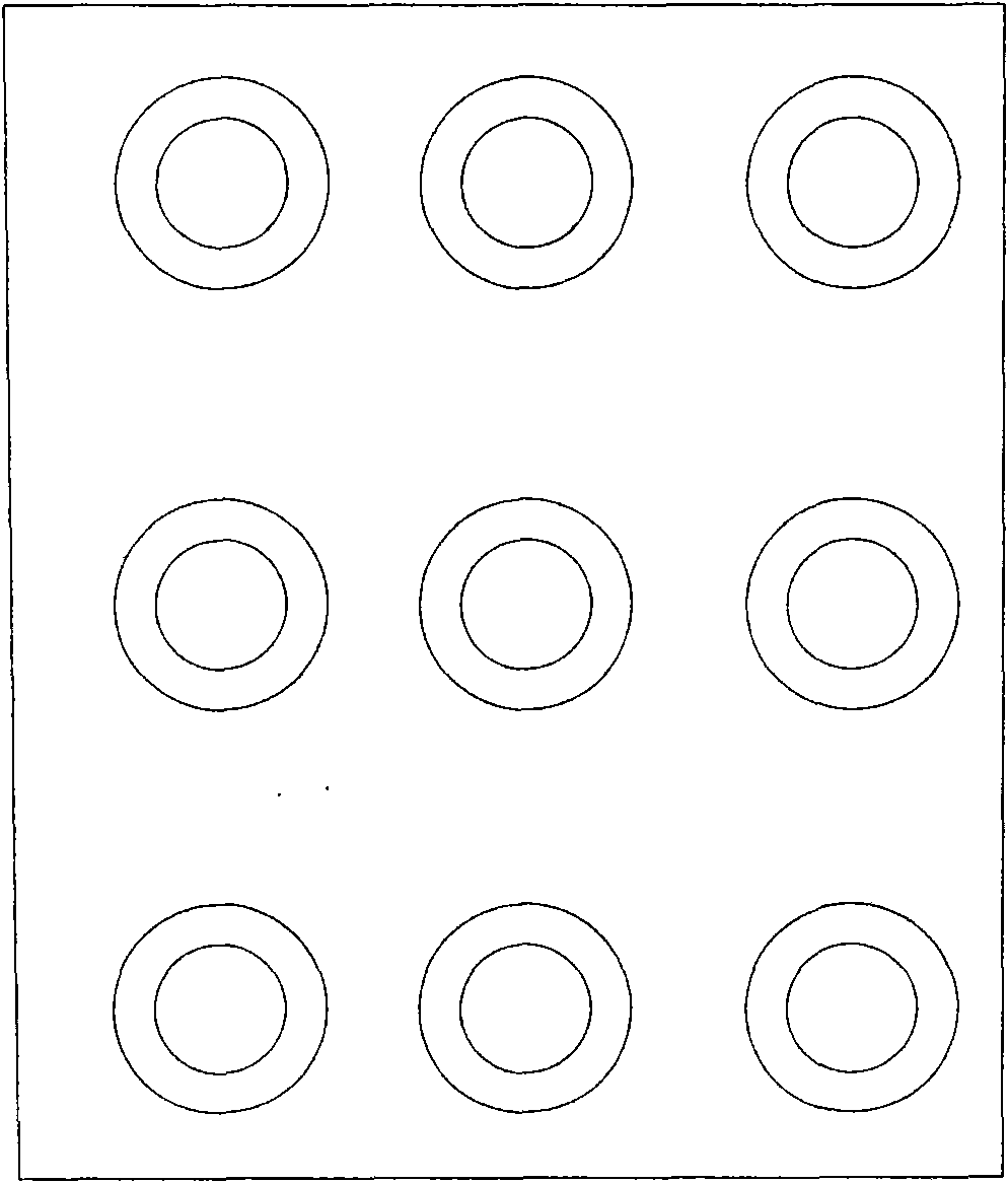 Anchor design of pre-stressed carbon fiber reinforced plastic rib group