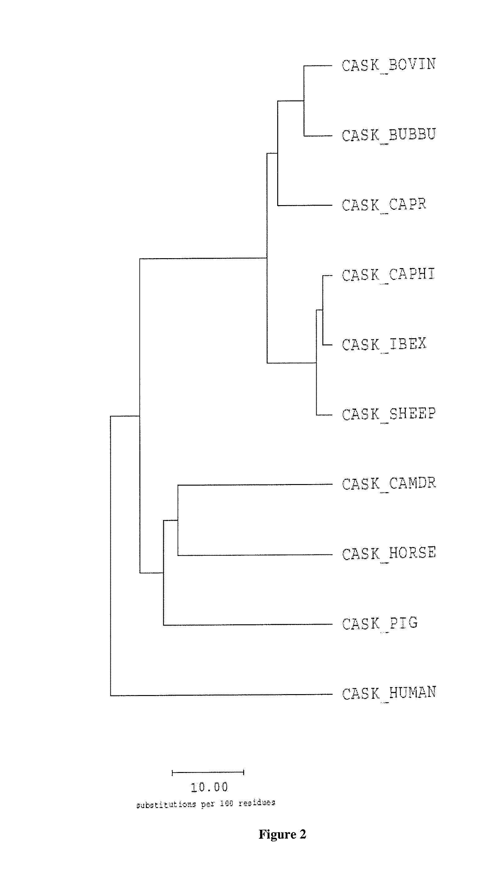 Casein and methods of use thereof