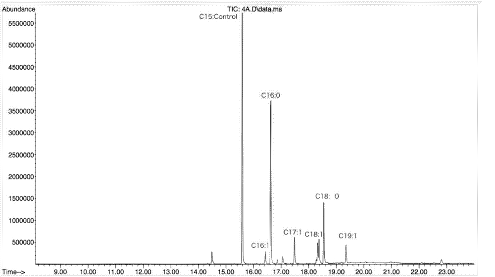 System for efficiently producing aliphatic acid by escherichia coli and construction method thereof