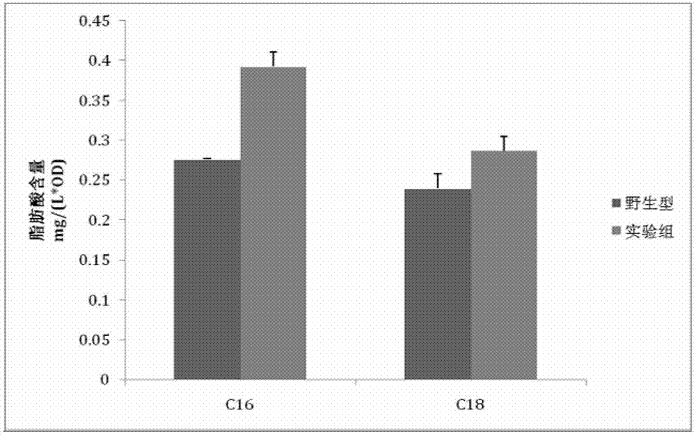 System for efficiently producing aliphatic acid by escherichia coli and construction method thereof