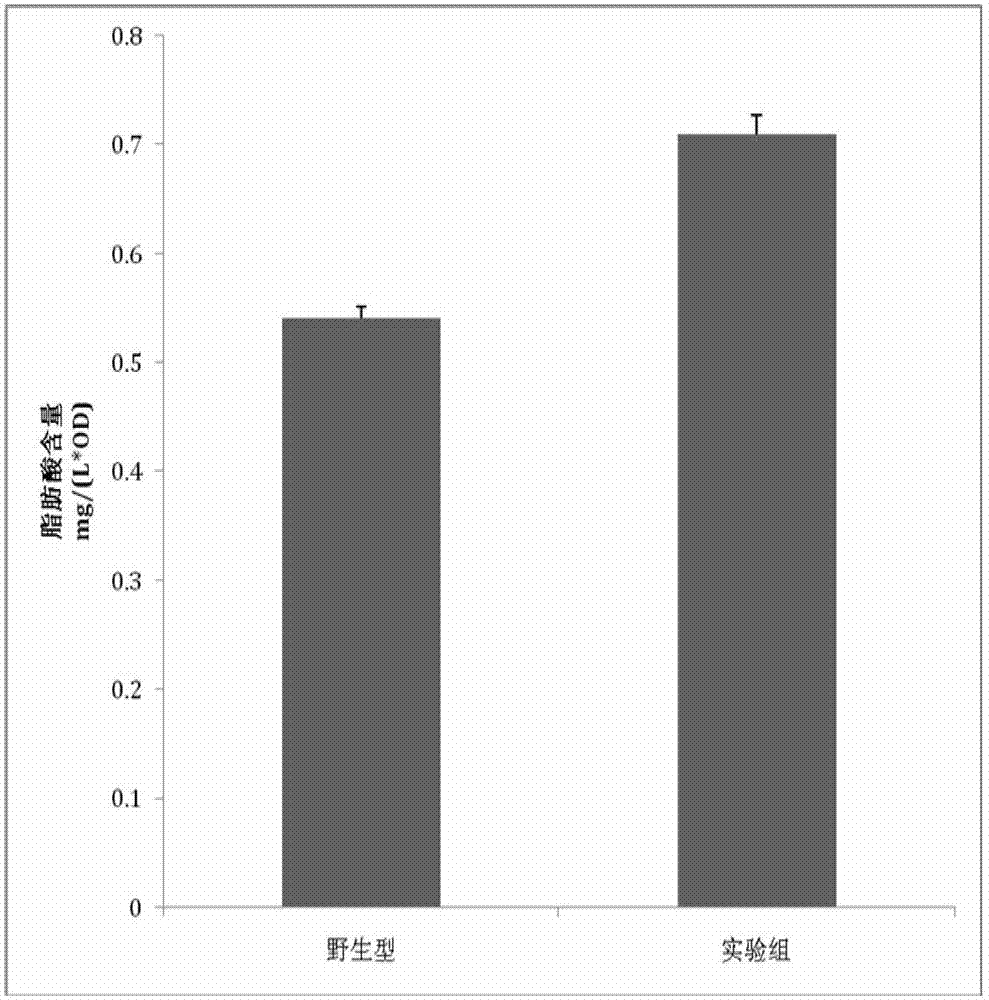 System for efficiently producing aliphatic acid by escherichia coli and construction method thereof