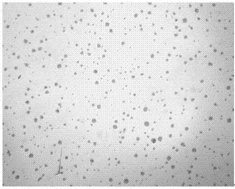 Method for producing two brand numbers of low-temperature ductile irons by adopting molten iron