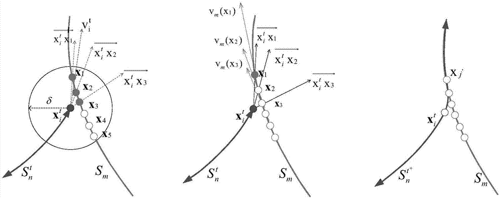 Vascular tree extraction method, device and equipment and storage medium