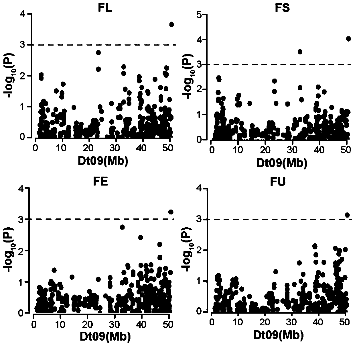 GhJMJ12 gene SNP marker related to cotton fiber quality, and application of same