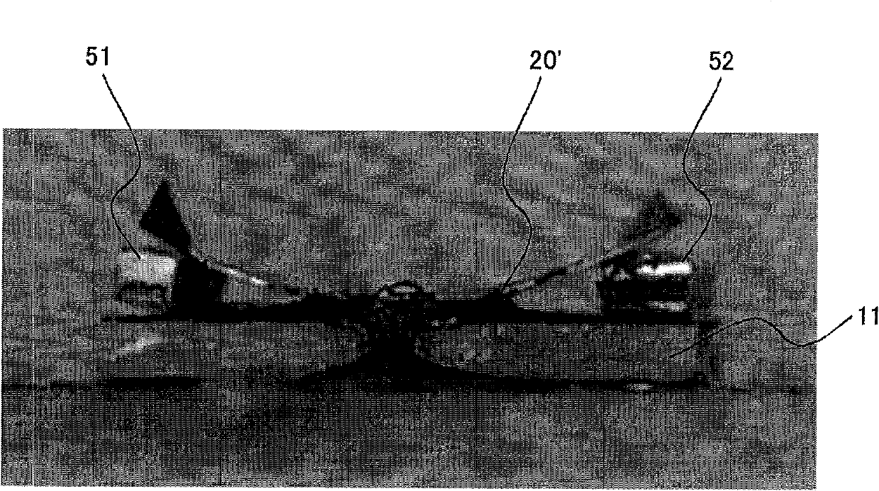 Protective element and method for manufacturing the same