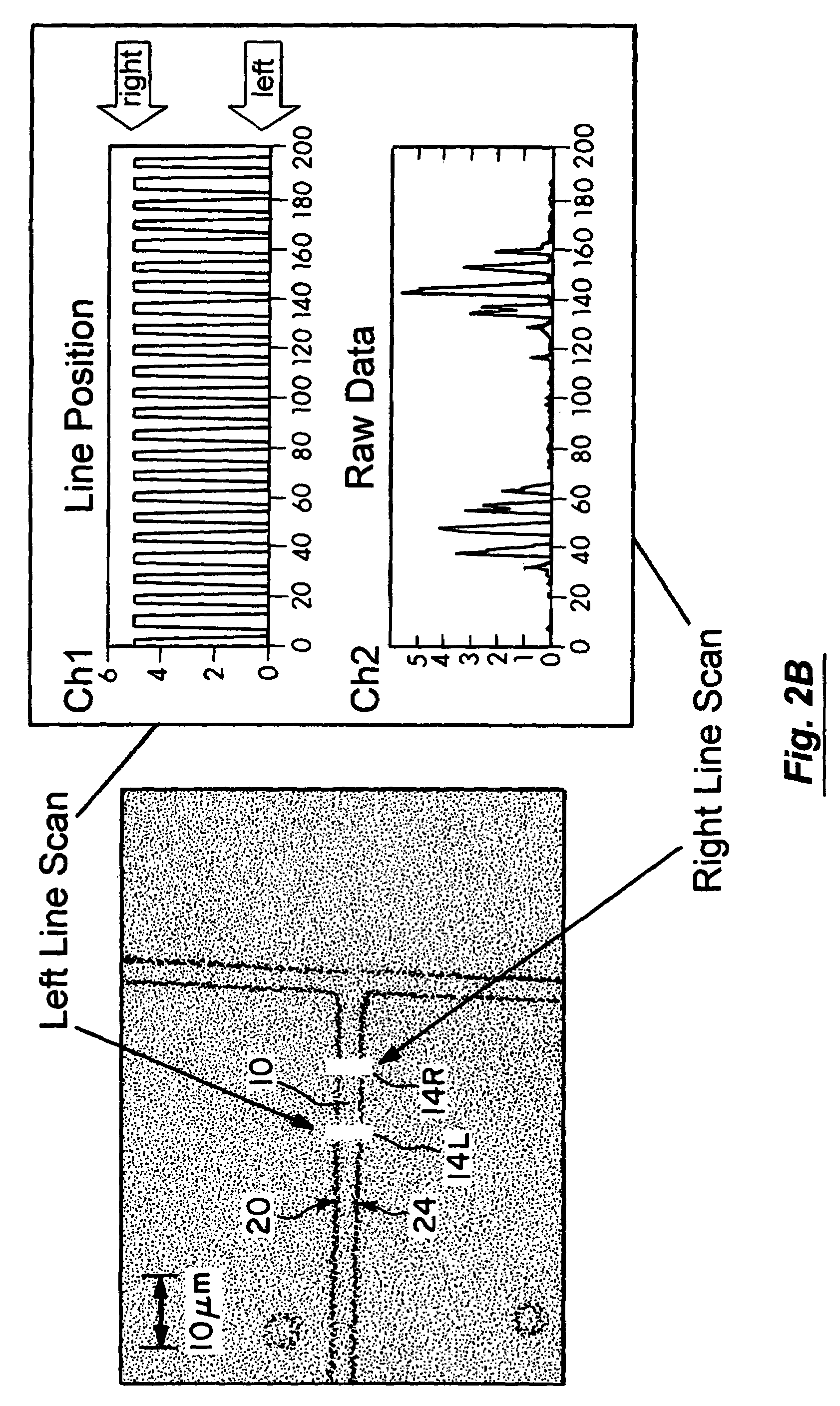 Velocity independent analyte characterization