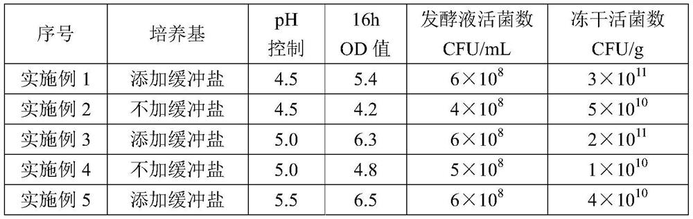 Acetic acid bacteria freeze-dried powder and preparation method thereof