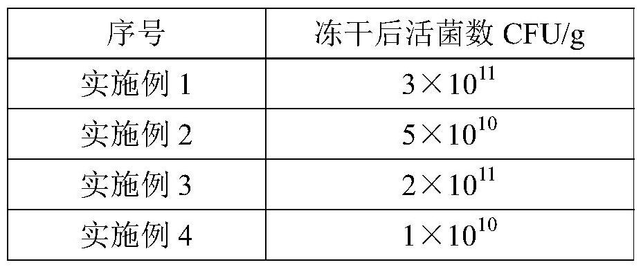 Acetic acid bacteria freeze-dried powder and preparation method thereof