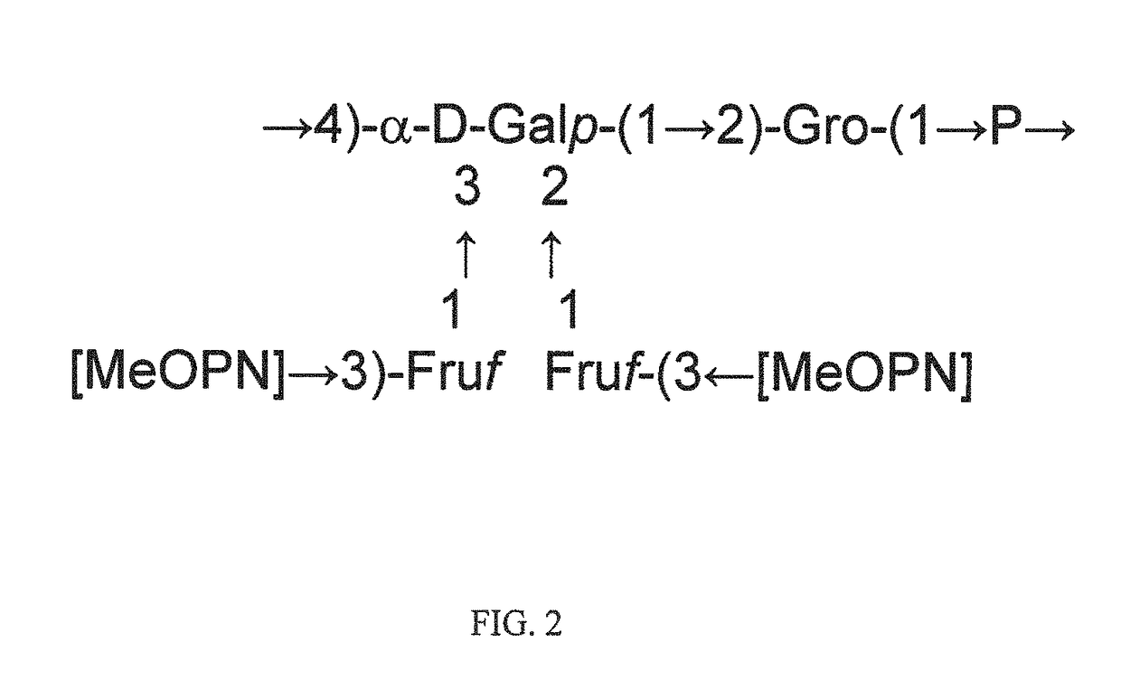 Immunogenic composition against <i>Campylobacter jejuni</i>