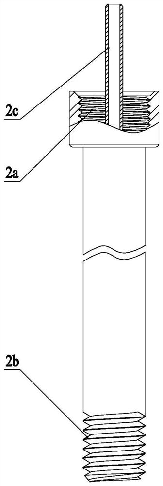 Injectable screw fixation system for femoral neck fractures