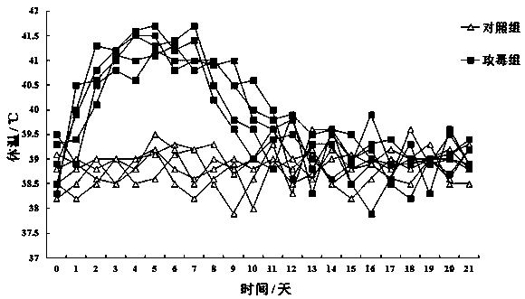 Caprine herpesvirus I vaccine strain and application thereof