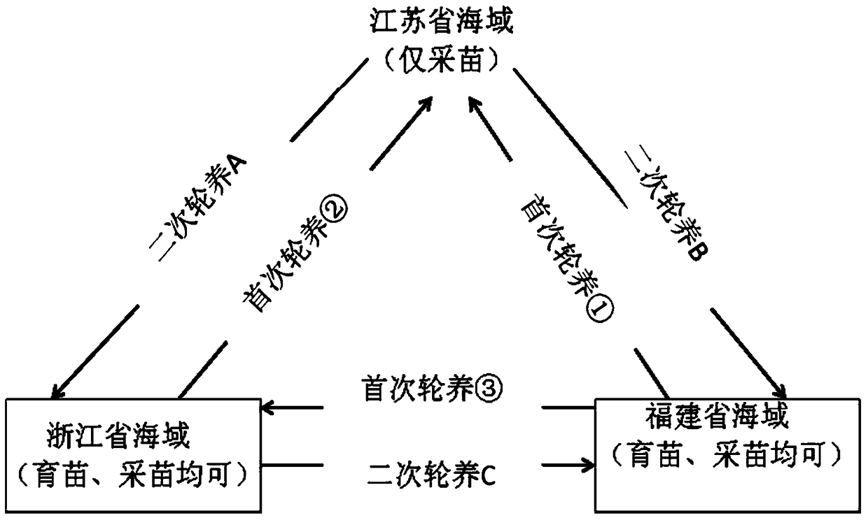 A kind of rotation utilization method of altar purple shell filaments