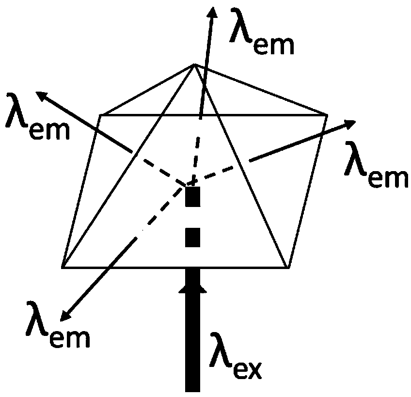 Multifunctional surface plasma coupled emission fluorescence and Raman detector and detection method thereof