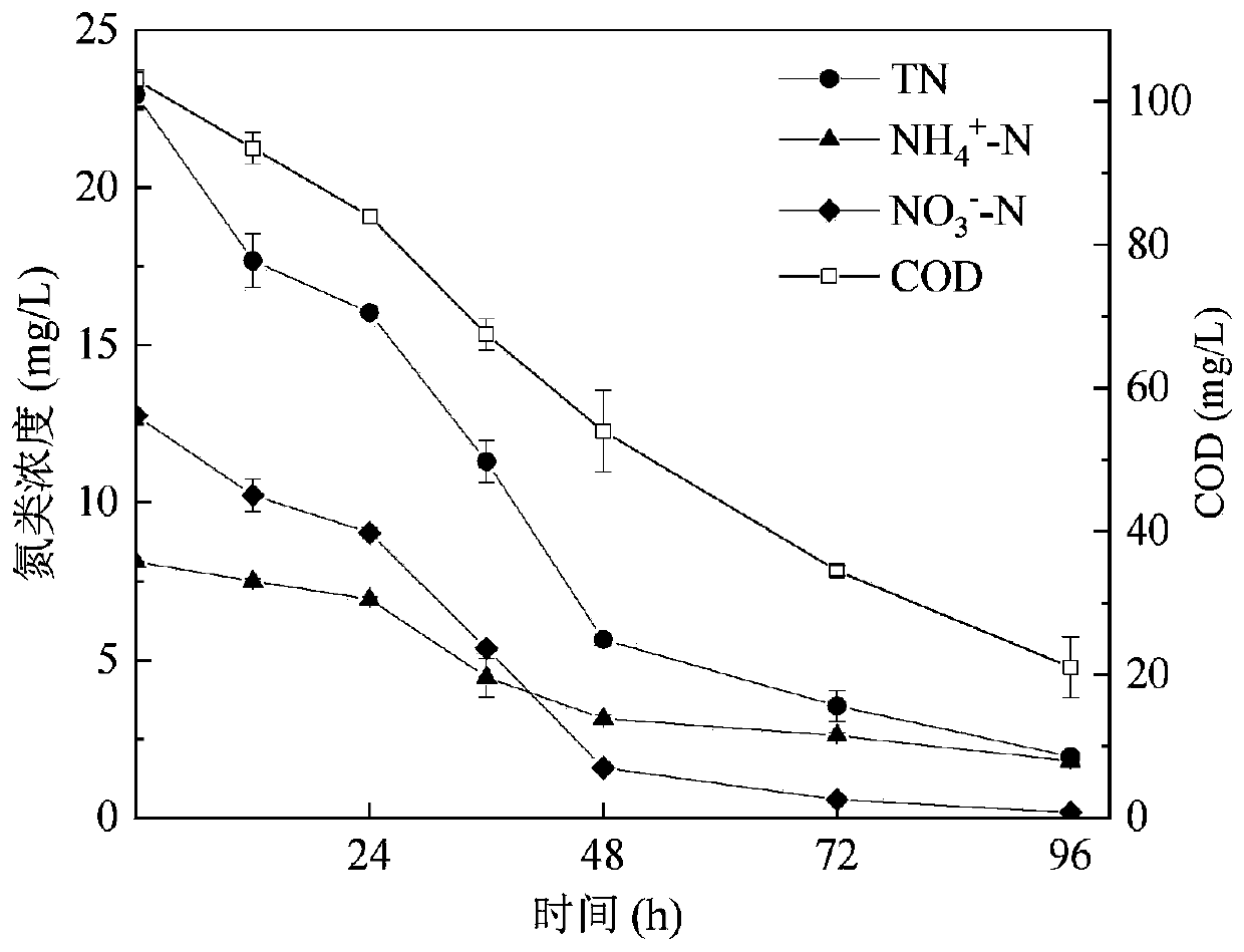 Preparation method of immobilized slow-release microorganisms for in-situ remediation of water body