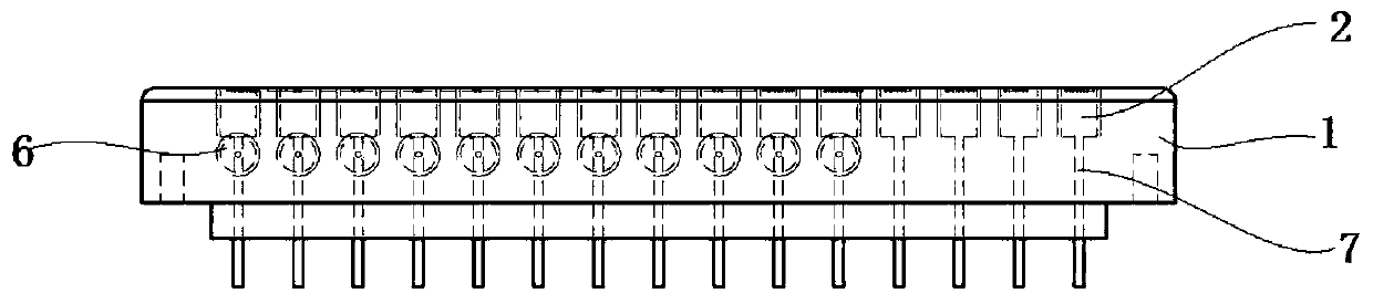 Common-passage liquid injection device