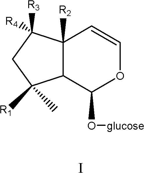 Medical application of Harpagoside ingredient