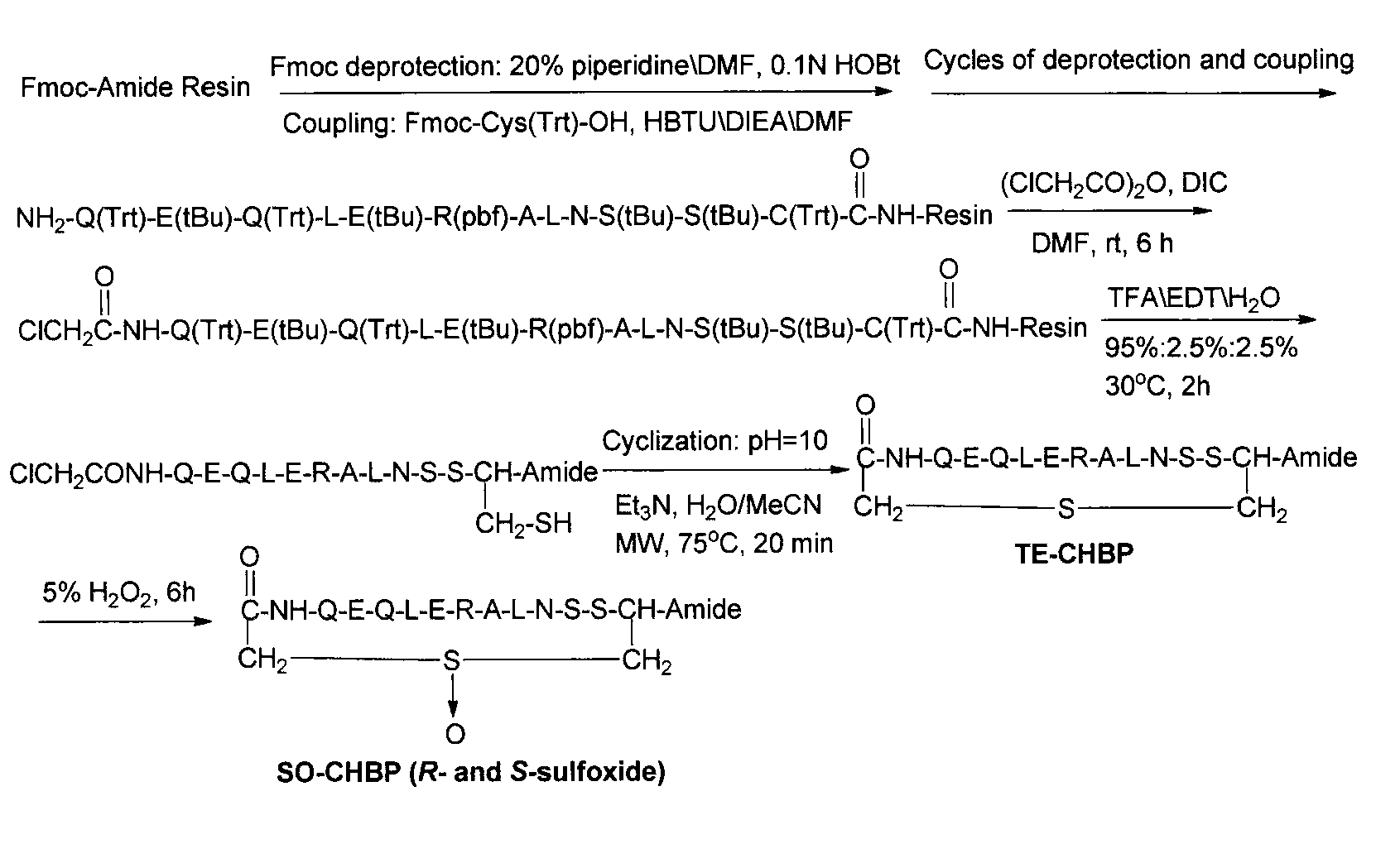 Polypeptide having kidney protection effect, and application thereof