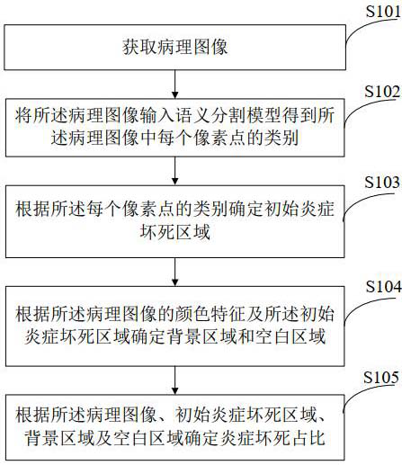 A method and device for calculating the proportion of inflammation and necrosis in medical images