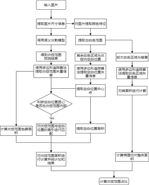 A method and device for calculating the proportion of inflammation and necrosis in medical images