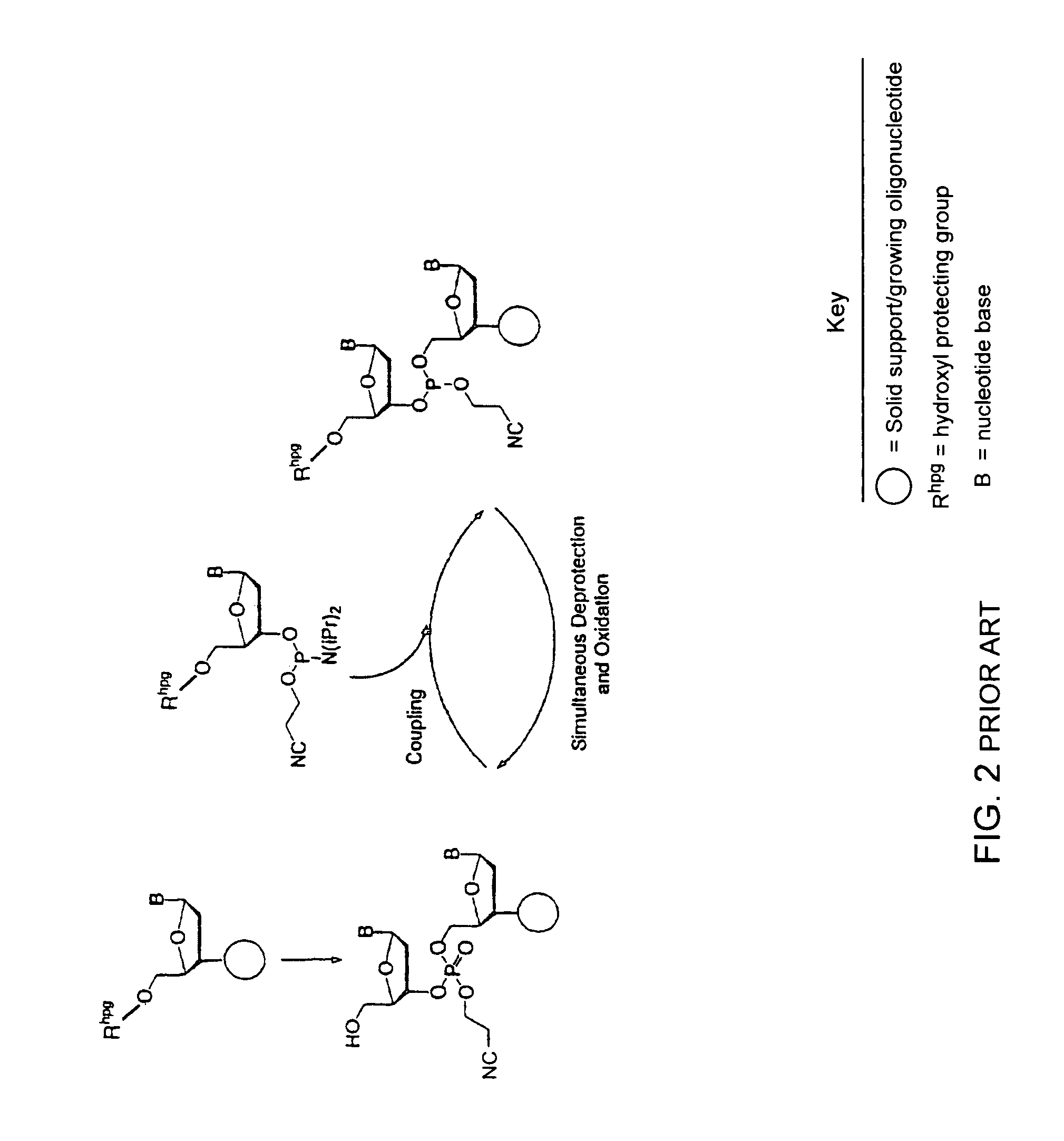 Precursors for two-step polynucleotide synthesis