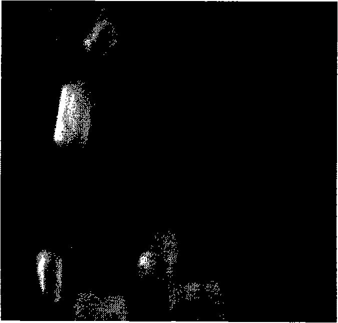 Method for preparing alpha semi-hydrated gypsum pulp and plaster products by desulphurizing gypsum