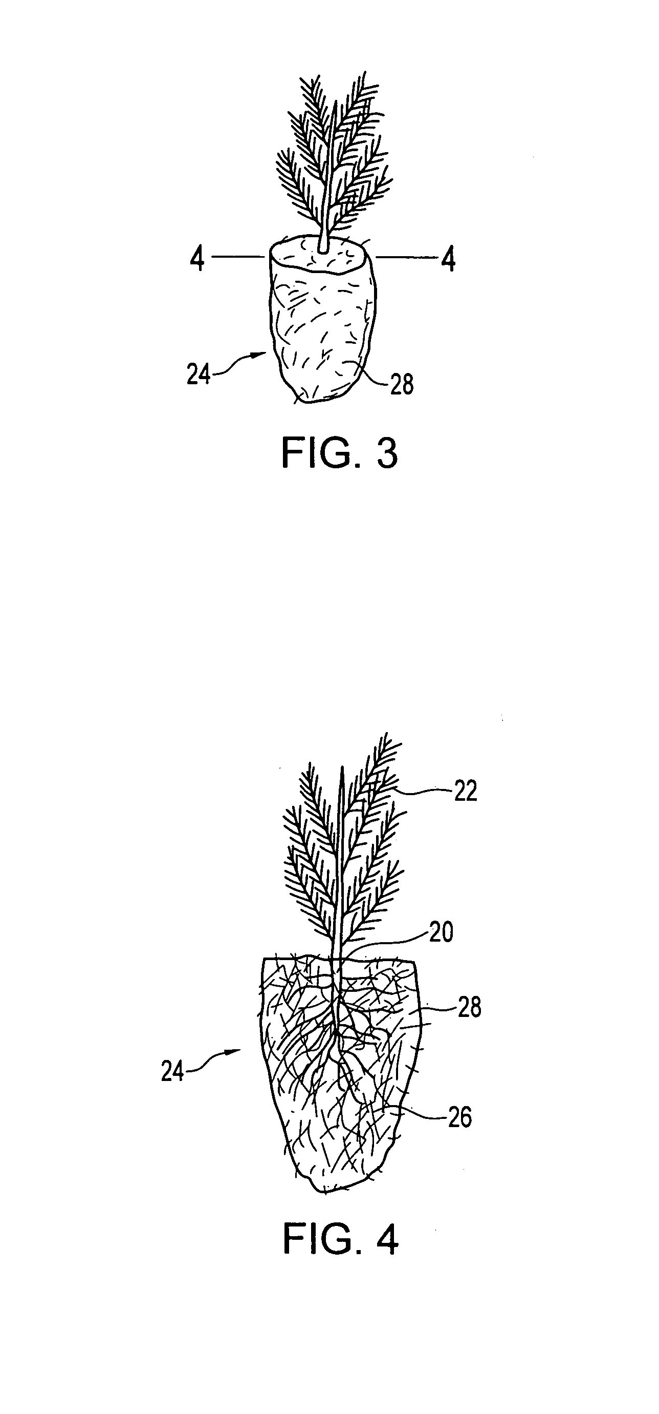 Tree seedling plug and method of making same