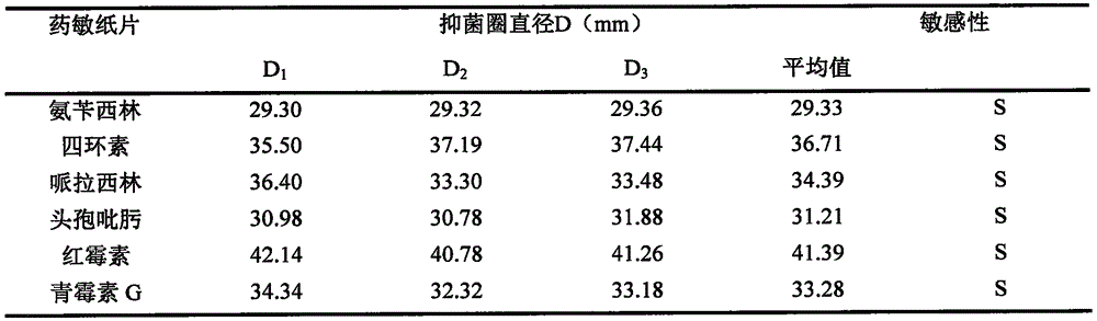 Bifidobacterium breve and method for detecting various antibiotic residues in milk and application