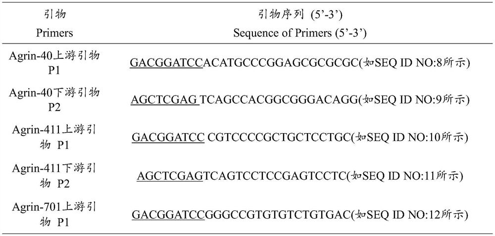 Human agrin antigen, human agrin antibody detection kit, preparation method and application thereof