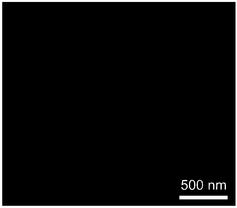 Three-dimensional tubular structured manganese dioxide sulfur supported composite material as well as preparation method, lithium-sulfur battery anode and lithium-sulfur battery