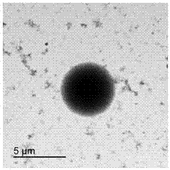 Slow aromatic polyelectrolyte microcapsule with casein-sodium alginate serving as compound wall materials and preparation method of microcapsule