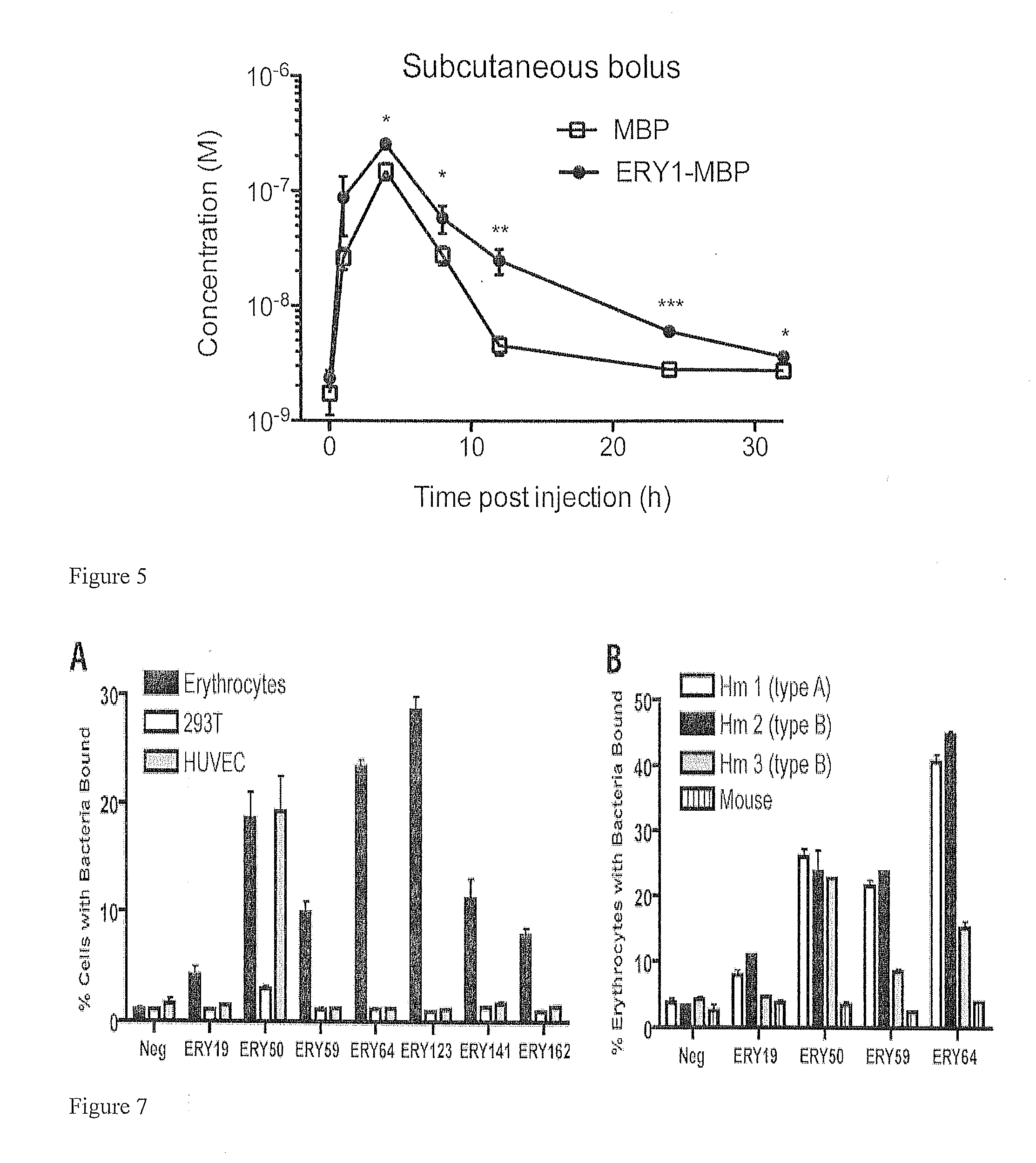 Erythrocyte-binding therapeutics