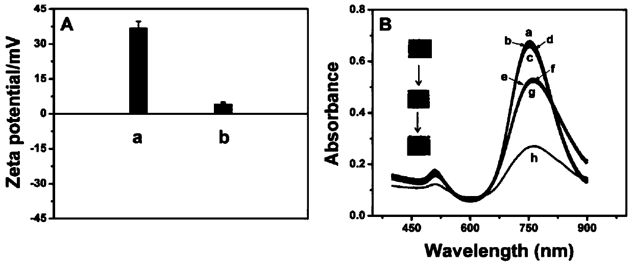 Method for detecting poly ADP-ribose polymerase-1 with gold nanorod probe