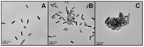 Method for detecting poly ADP-ribose polymerase-1 with gold nanorod probe