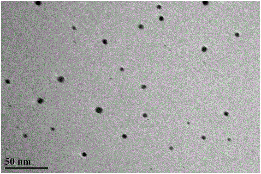 Method for simply preparing Au-Ag dual-metal nanoparticle film of meshed structure