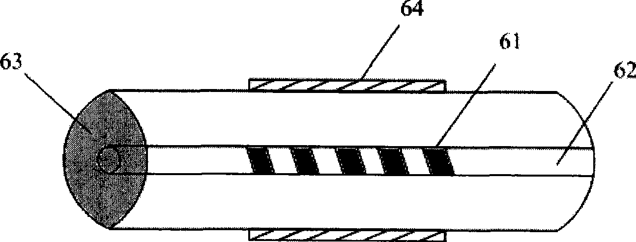 Long period optical fiber optical grating nucleic acid sensor system and detection method for detecting mononucleotide polymorphism