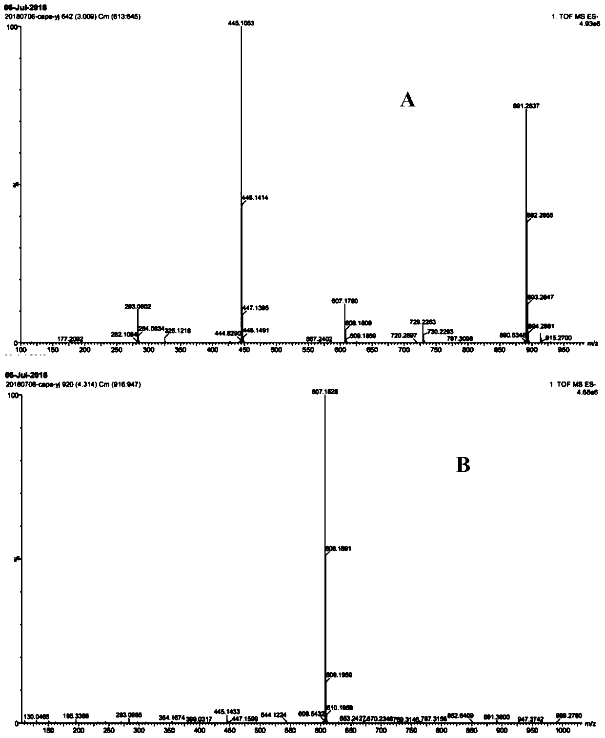 Glycosylation application of dextransucrase and method for preparing phenyl ethyl caffeate glycoside from dextransucrase