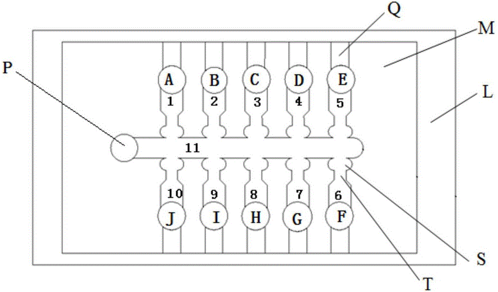 Device and method for fully automatically and continuously capturing and collecting single cells