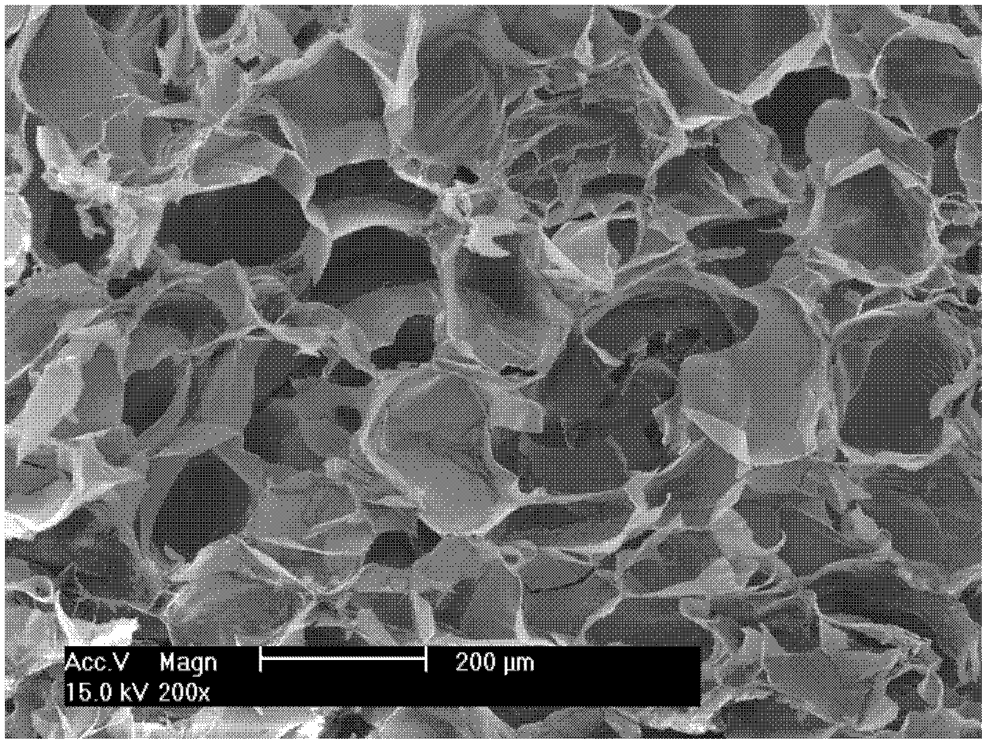 Three-dimensional chitosan hydrogel and preparation method thereof