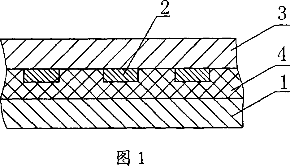 Label inside composite membrane