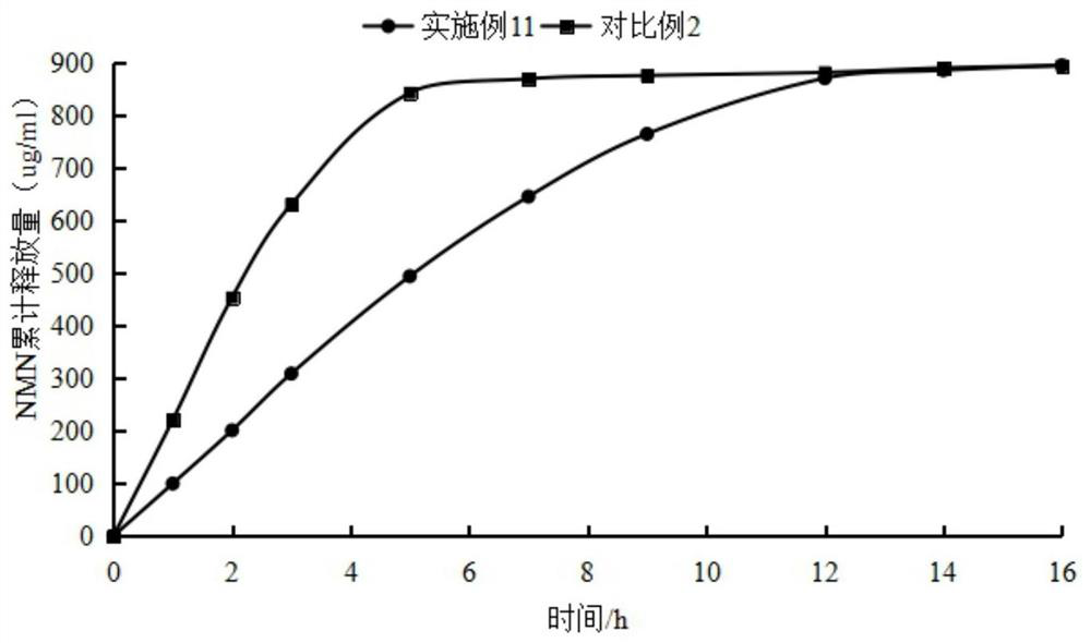 Targeted mitochondrial skin anti-aging nano composition and preparation method and application thereof