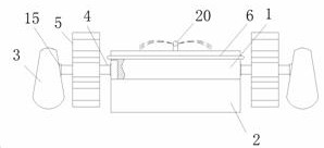 Floating filtering device for treating blue-green algae in urban lakes